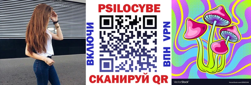 Купить  Богучар  Галлюциногенные грибы Cubensis 