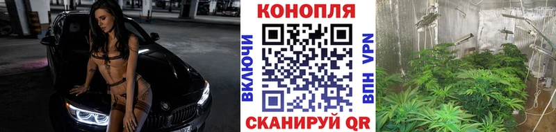 Купить закладки  Богучар  Бошки Шишки индика 